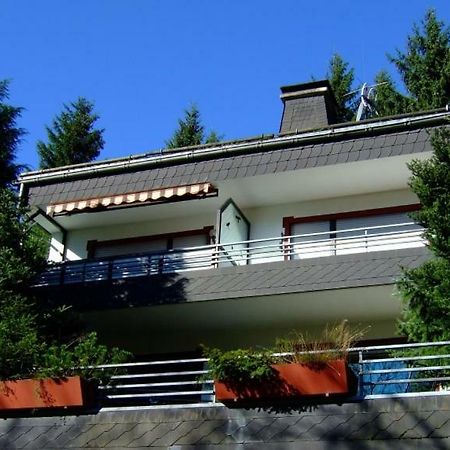 Ferienwohnung Napierski Willingen  Buitenkant foto