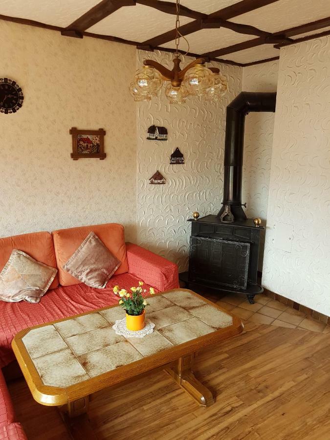 Ferienwohnung Napierski Willingen  Buitenkant foto