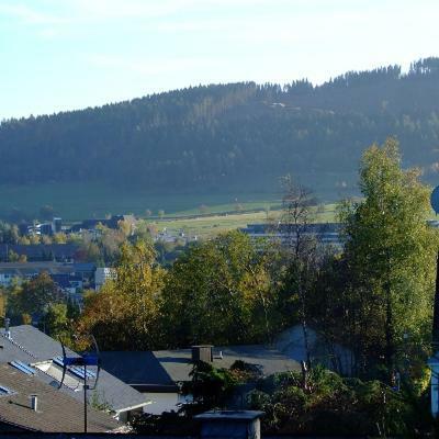 Ferienwohnung Napierski Willingen  Buitenkant foto