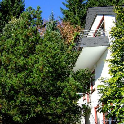 Ferienwohnung Napierski Willingen  Buitenkant foto