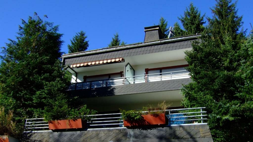 Ferienwohnung Napierski Willingen  Buitenkant foto